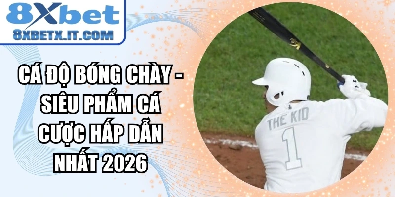 Cá độ bóng chày - Siêu phẩm cá cược hấp dẫn nhất 2026