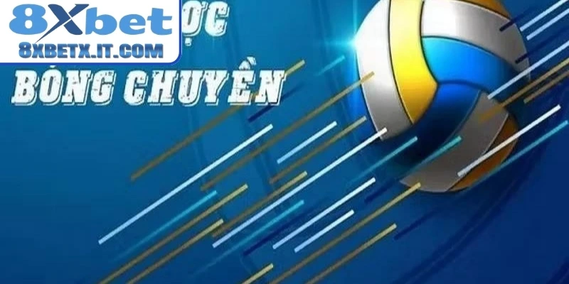 Thông tin cá độ bóng chuyền là gì?