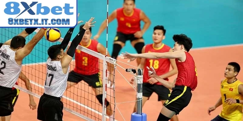 Luật chơi cá độ bóng chuyền