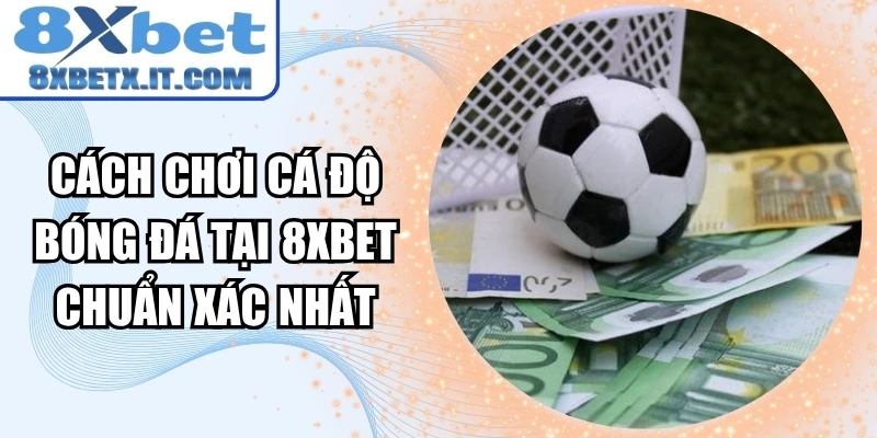Cách chơi cá độ bóng đá tại 8Xbet chuẩn xác nhất