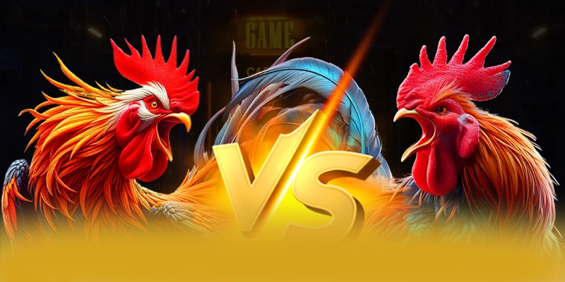 Bao mat du lieu ca nhan tai 8XBET Bao mat du lieu ca nhan tai 8XBET
